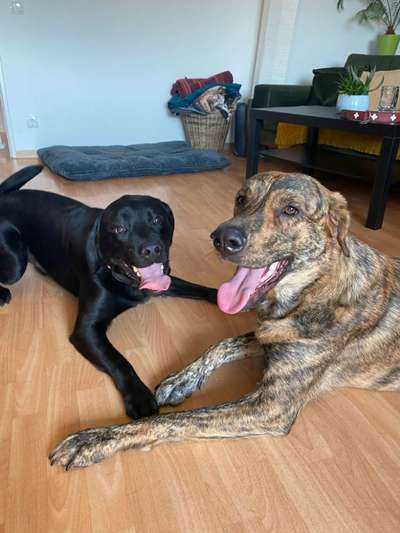 Handyfoto challenge Nr. 13: Waschlappen raus!-Beitrag-Bild