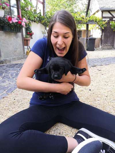 Welpen Bilder !-Beitrag-Bild