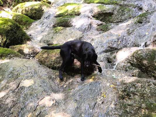 Fotowettbewerb Natur-Beitrag-Bild