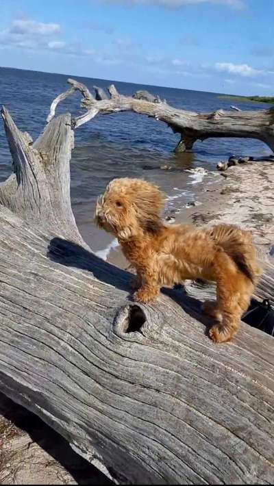 Eure Strandbilder :)-Beitrag-Bild