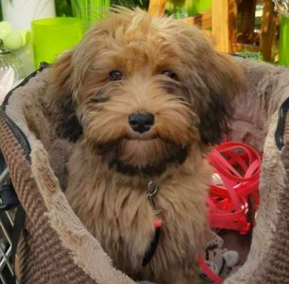 zeigt mal eure schönsten Fotos von euren Lieblingen.-Beitrag-Bild