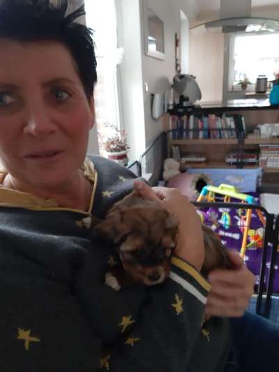 Das erste Foto-Beitrag-Bild