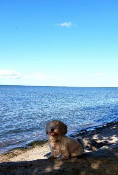 Fotochallenge 27-Beitrag-Bild