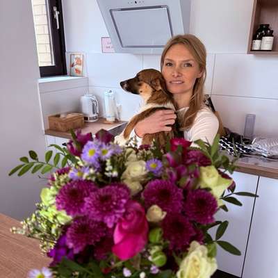 Hundetreffen-Gassi/ Spielrunde-Profilbild