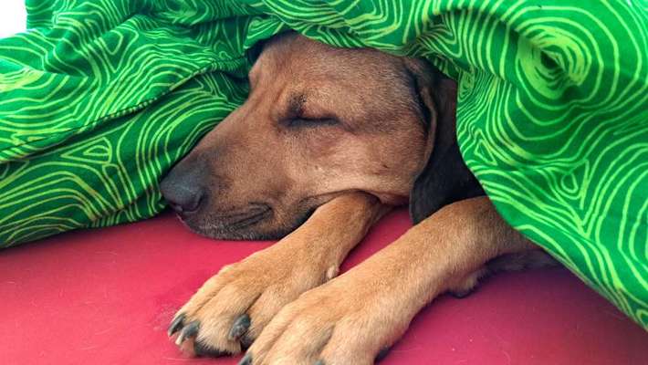 Foto Challenge Nr. 134-Beitrag-Bild