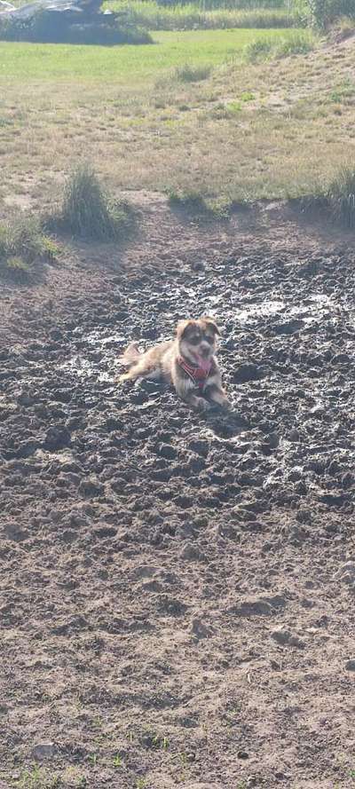 Theos  Fotochallenge Nummer 2-Beitrag-Bild