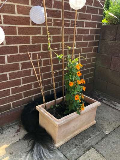 80. Foto  Challenge - Versteckt/ in einer Höhle-Beitrag-Bild