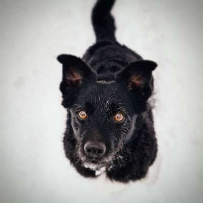 Fotochallange Nr. 57     PORTRÄT.   Beendet!!!!!!!!-Beitrag-Bild