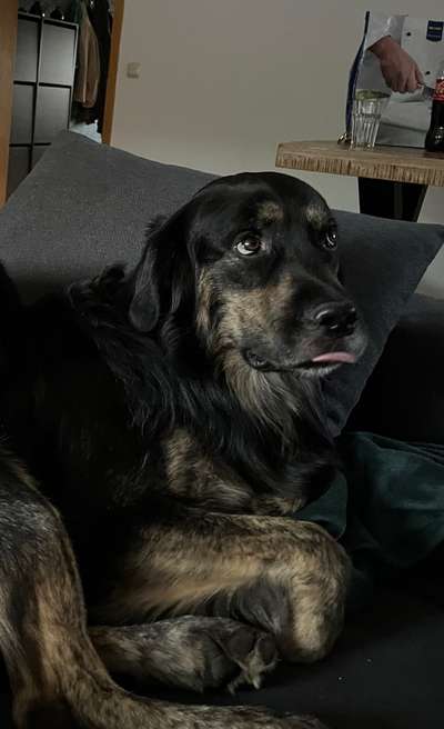 147. Foto Challenge: Bettelblick-Beitrag-Bild