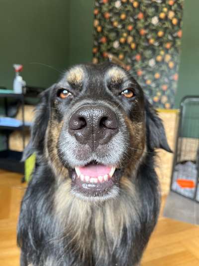 25. Farben Fotochallenge ,,Bernstein"-Beitrag-Bild