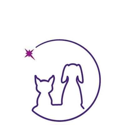 Medizinische Dienstleistungen-Hunde und Katzen Physiotherapie-Bild