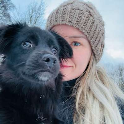 Hundetreffen-Playdate und/oder Gassirunde-Bild