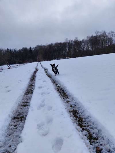 Dogorama Photo Challenge - Es wird nochmal kalt!-Beitrag-Bild