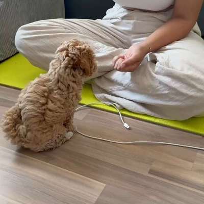 %{de_profession_title}-Einzelstunde-Bild