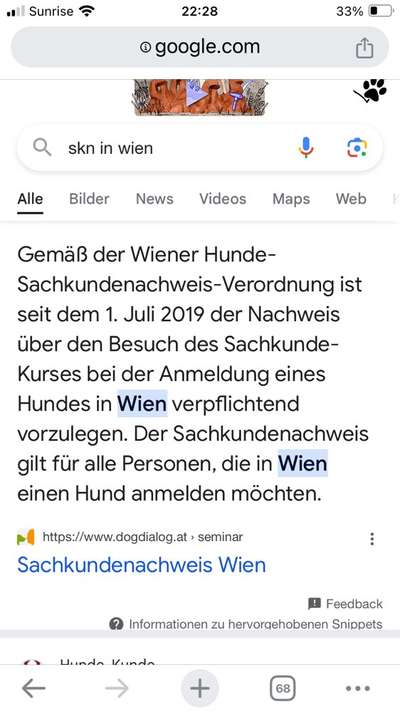 American Bully – Neue Einstufung als gefährlicher Hund in Braunschweig-Beitrag-Bild