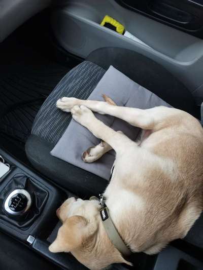 Die unbequemsten und lustigsten Schlafpositionen-Beitrag-Bild