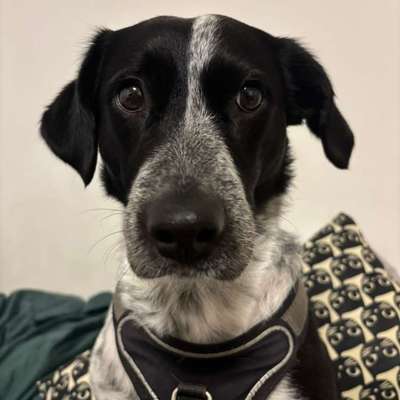 Wie habt ihr den Silvesterabend verbracht?-Beitrag-Bild