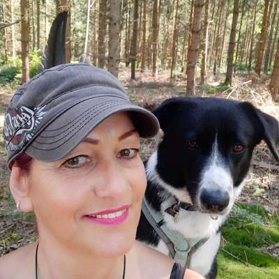 Hundetreffen-Hilfe !! Gassi gehen