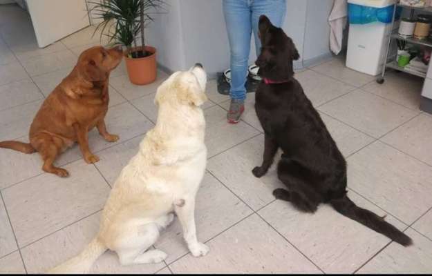 Zeigt her...-Beitrag-Bild