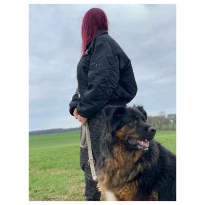 Challenge 33 - Du und dein Hund-Beitrag-Bild