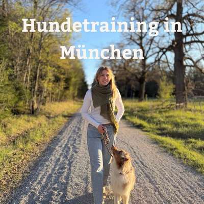 Hundeschule Dogbound in München Fasangarten – Dogorama