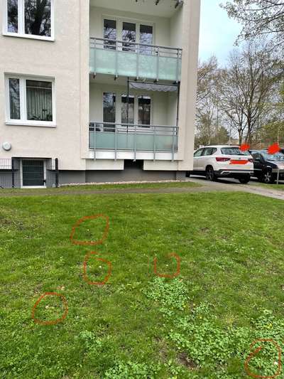 Giftköder-Vermutlicher Giftköder-Bild