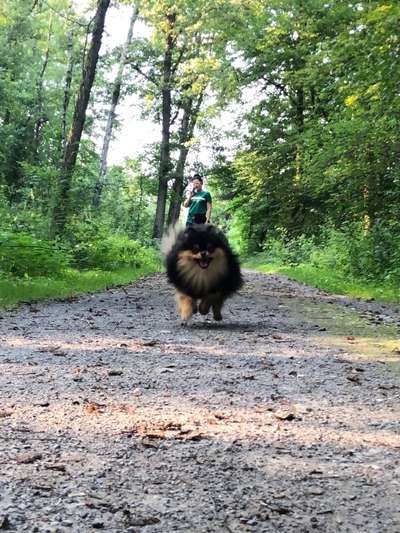 Dogorama Photo Challenge - Einmal lächeln bitte-Beitrag-Bild