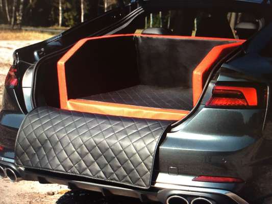 Rhodesian Ridgeback-Beitrag-Bild