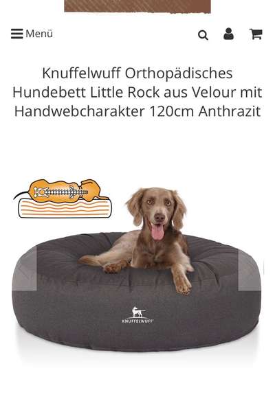 Rhodesian Ridgeback-Beitrag-Bild