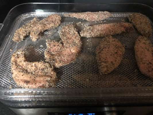 Rhodesian Ridgeback-Beitrag-Bild