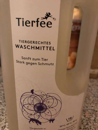 Rhodesian Ridgeback-Beitrag-Bild