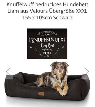 Rhodesian Ridgeback-Beitrag-Bild