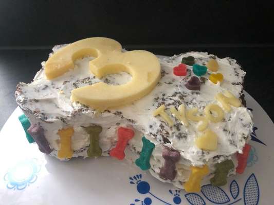 Rhodesian Ridgeback-Beitrag-Bild