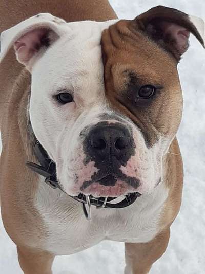 Fotochallange Nr. 57     PORTRÄT.   Beendet!!!!!!!!-Beitrag-Bild