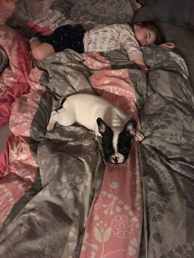 Im Bett schlafen-Beitrag-Bild