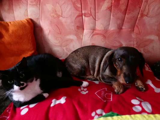 CHALLENGE Nr.17-Beitrag-Bild