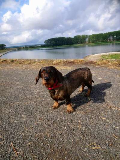 Zeigt mir eure Lieblingsfotos ♡♡-Beitrag-Bild