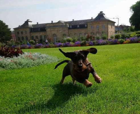 Fotochallange Nr. 46

Schattenspiele BEENDET!!!!!-Beitrag-Bild