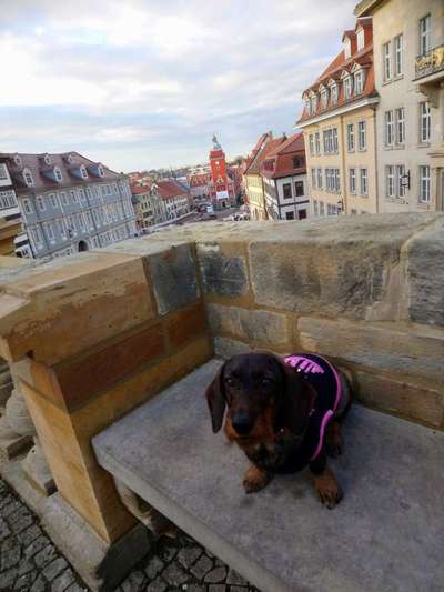 In welchem bundesland lebt ihr-Beitrag-Bild