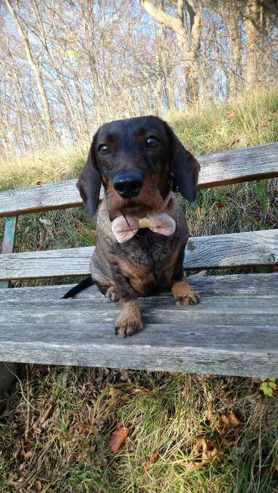 Zeigt mir eure Lieblingsfotos ♡♡-Beitrag-Bild