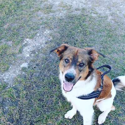 Lieblingsbild :D-Beitrag-Bild