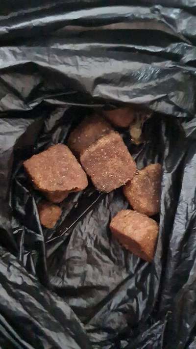 Giftköder-Ausgelegte Leckerchen-Bild