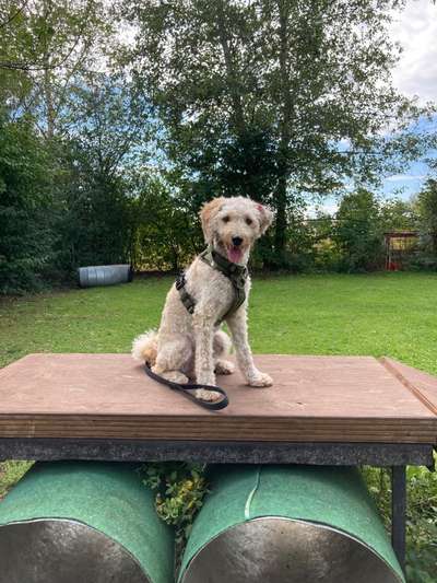 Ist das ein...?-Beitrag-Bild