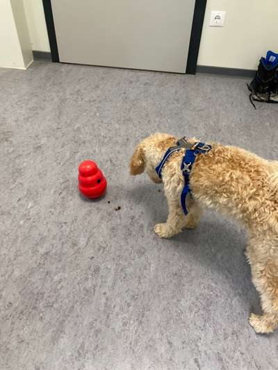 Zeigt her...-Beitrag-Bild