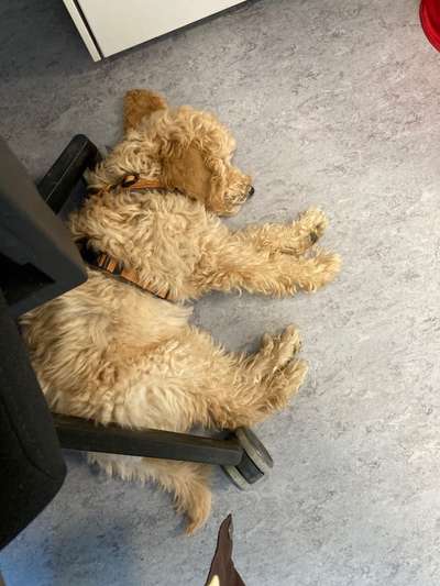 Zeigt her...-Beitrag-Bild