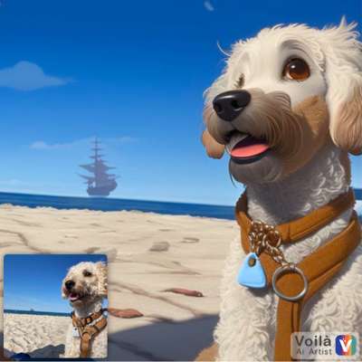 Voila app Bilder-Beitrag-Bild