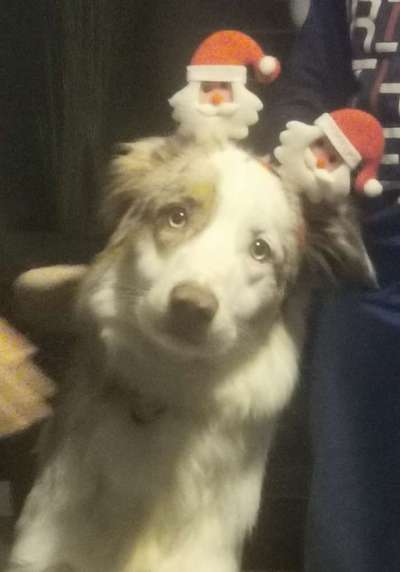 Fotochallange Nr. 57     PORTRÄT.   Beendet!!!!!!!!-Beitrag-Bild