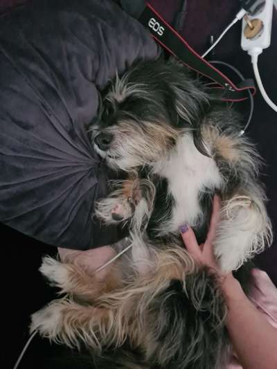 Fotochallenge Nr.65-Beitrag-Bild