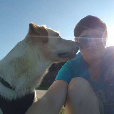 Hundetreffen-Spaziergang und Spielen-Profilbild