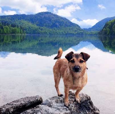 Fotochallenge Nr 107-Beitrag-Bild